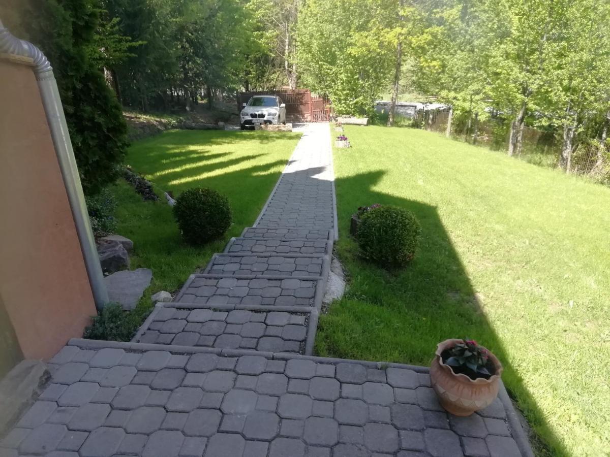 Villa Demeny Vendeghaz Sub Cetate Esterno foto