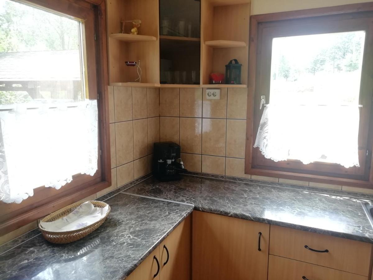 Villa Demeny Vendeghaz Sub Cetate Esterno foto