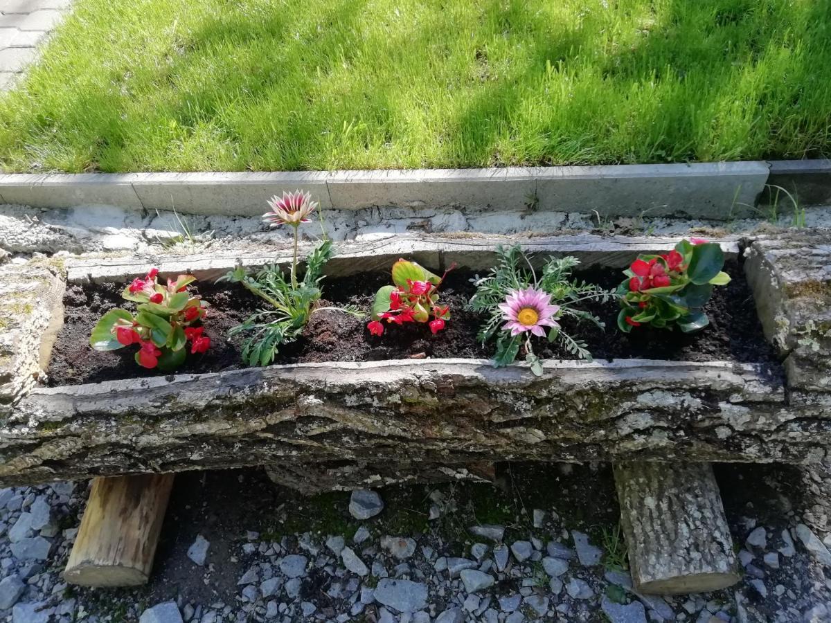 Villa Demeny Vendeghaz Sub Cetate Esterno foto